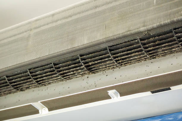 Best Air Vent Cleaning Services  in Collinsville, MS