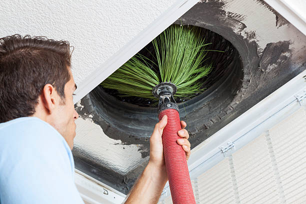 Best Professional Duct Cleaning Services  in Collinsville, MS